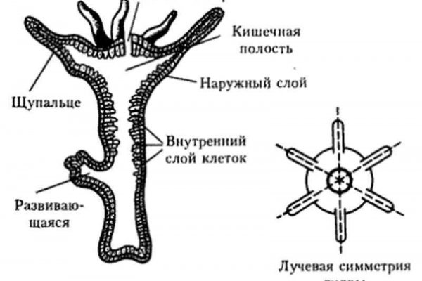 Сайты продаж наркотиков